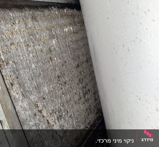 סוללת מזגן מיני מרכזי מכוסה בעובש ולכלוך לפני ניקוי